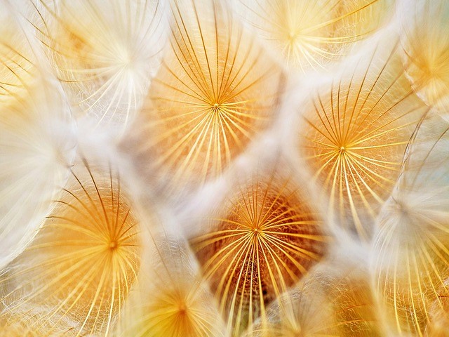 豊かさと願いの実現